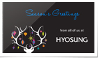 2022 Hyosung SC Digital Holiday