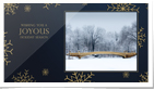 Golden Snowflakes P...