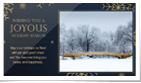 Golden Snowflakes P...