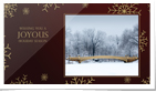 Golden Snowflakes P...