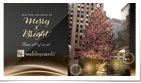 Spirit of the Season Elegant Photo eCard