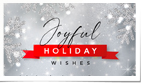 Silver Snowflakes S...