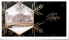 Gold Snowflakes Photos Gen Blk (Vid)