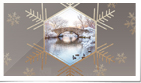 Elegant Gold Foil P...