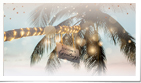 Lighted Palm Tree Photo (Static)