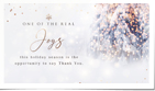 Beauty of the Season Winter Photo (Vid)