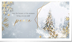 Snowflakes Shimmer Silver Photos (Vid)