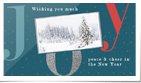 Joy Holiday Photo B...