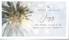 Beauty of the Season Palm II Photo (Vid)