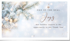 Beauty of the Season Winter II Photo (Vid)