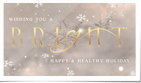 Elegant Snowflakes Gold Holiday I