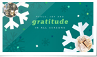 Paper Snowflakes Green Confetti Photo (Vid)