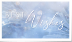 Best Wishes Winter Beauty Photos (Vid)