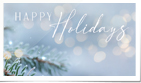 Evergreen Bokeh Lig...