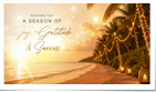 Elegant Beach Lighted Palm Trees (Vid)