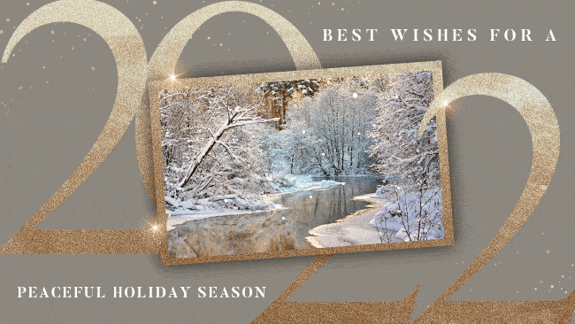 Gold Year Foil Photo Tan - Ani Gif