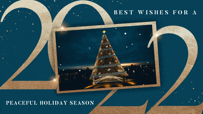 Gold Year Foil Photo Navy - Ani Gif
