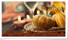 Thanksgiving Feast Photo eCard