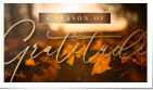 Season of Gratitude Thanksgiving (Static)