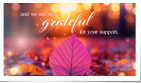 Autumn Beauty Photos (Vid)