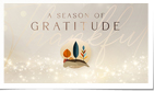 Season of Gratitude...