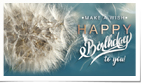 SC Birthday - Make a Wish (Static)