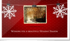 Snowflakes Photo Sl...