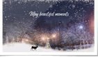 Deer Photo Slideshow