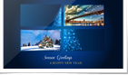 Bokeh Tree of Lights with Photos
