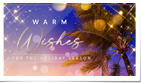 Beach Palms Christm...