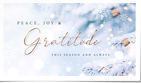 Evergreen Elegance Winter with Logos (Vid)