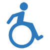 Web Accessibility Panel